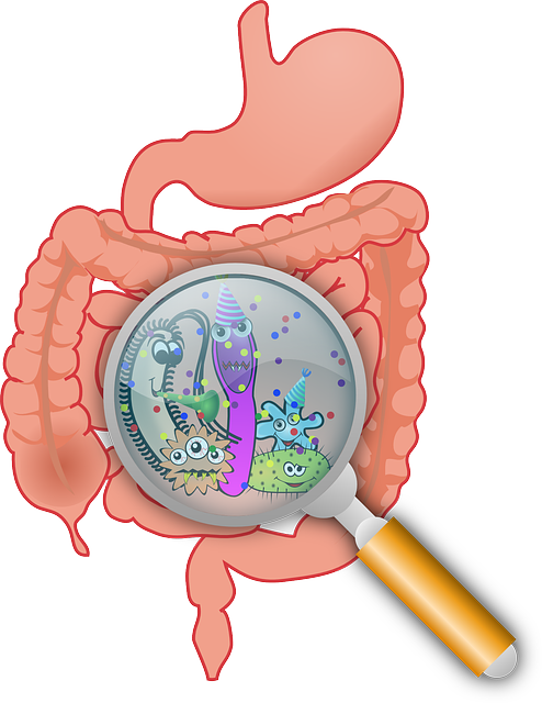 DigestSync Supplement